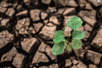 Mudanças climáticas: Brasil busca protagonismo sustentável nas discussões globais