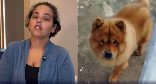 “Mulher sobrevive a ataque de cachorro e renasce com novo sorriso após
