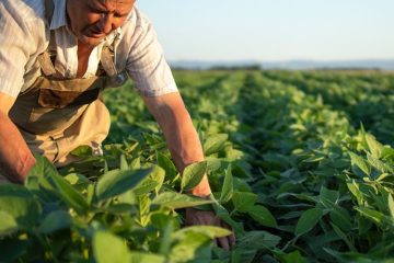 Redação do ENEM em Belém aborda reconhecimento social e desafios do trabalho rural