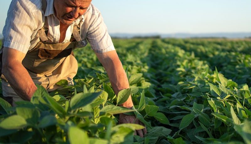 Redação do ENEM em Belém aborda reconhecimento social e desafios do trabalho rural