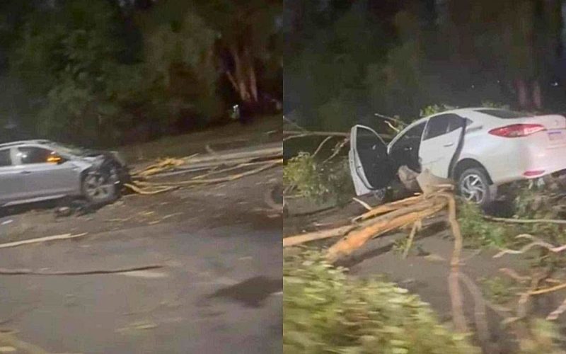 Acidente na BR-356: carros se chocam perto do BH Shopping e árvore cai sobre os veículos; assista ao vídeo.