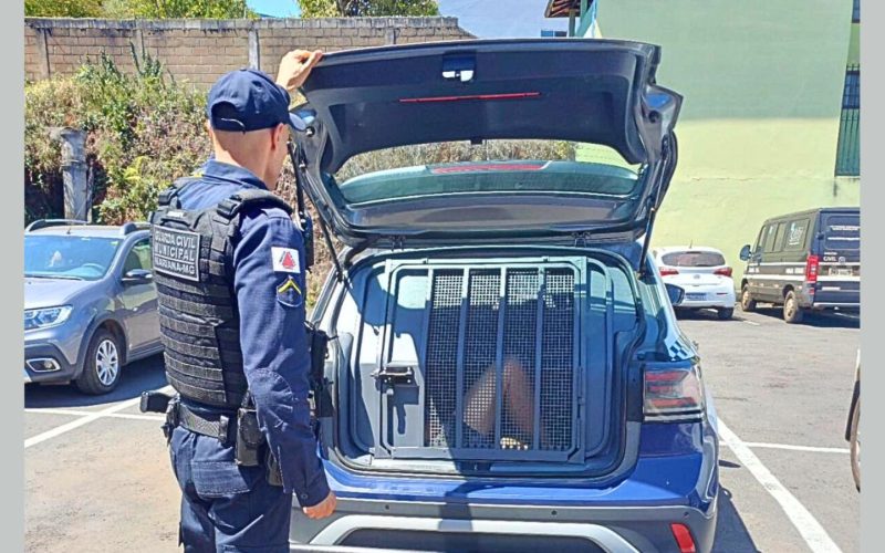 Ladrão é preso após furtar carne nobre e bebida alcoólica em supermercado de Mariana