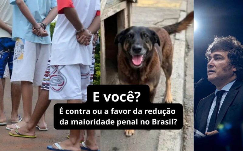 Argentina diminui idade mínima para responsabilização penal; tragédia do cão Orelha gera debate no Brasil. O que você pensa sobre isso?