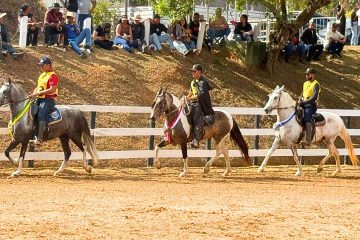 Mariana sedia a 6ª edição da Semana do Cavalo Mangalarga Marchador neste final de semana