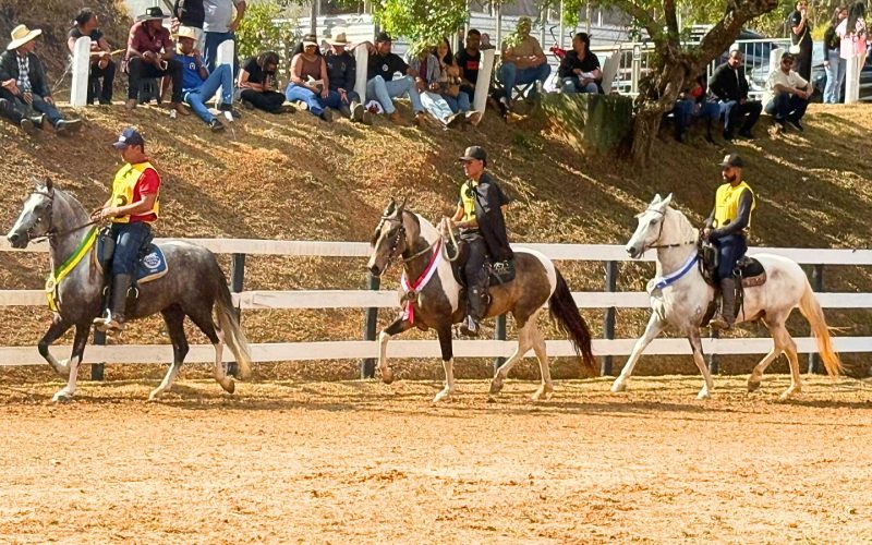 Mariana sedia a 6ª edição da Semana do Cavalo Mangalarga Marchador neste final de semana
