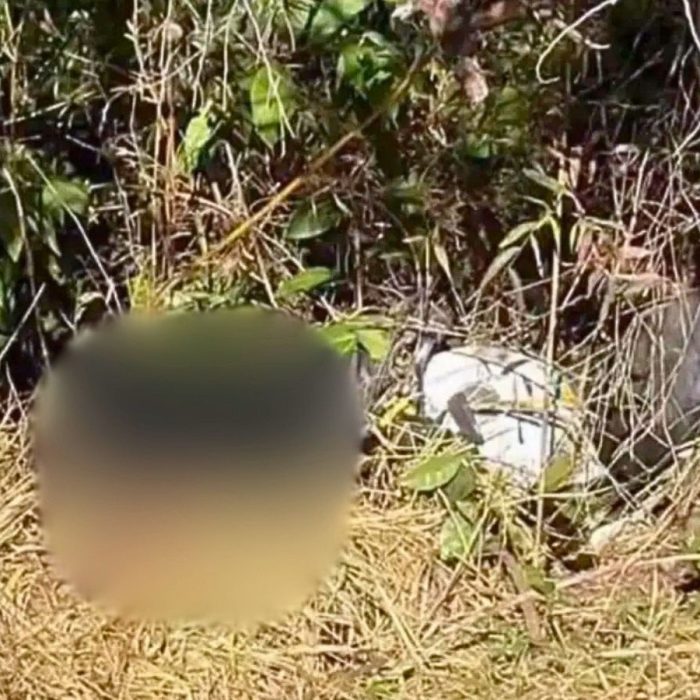 Corpo de homem é descoberto em Monsenhor Horta, Mariana