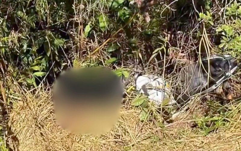 Corpo de homem é descoberto em Monsenhor Horta, Mariana